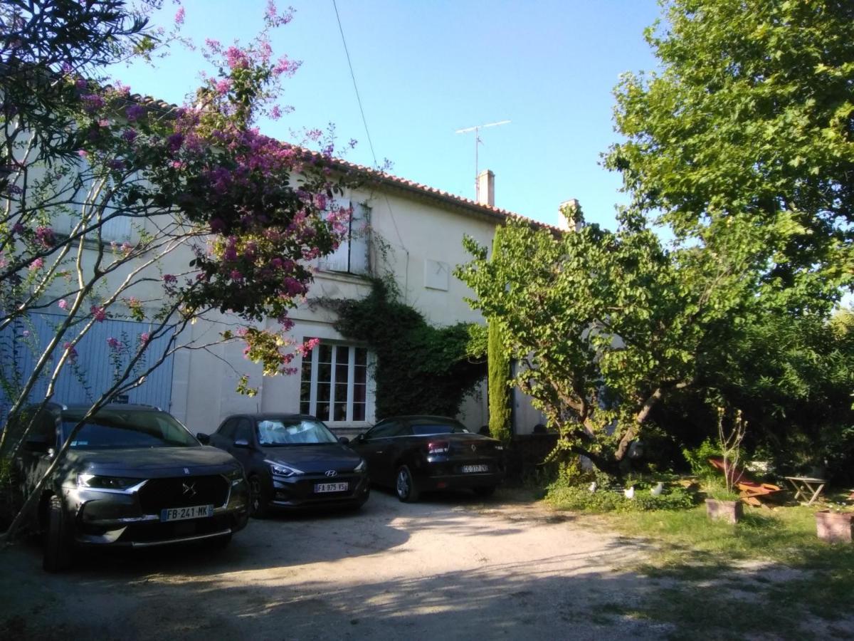 אפרטהוטל אביניון Le Petit Palais Maisonnette מראה חיצוני תמונה