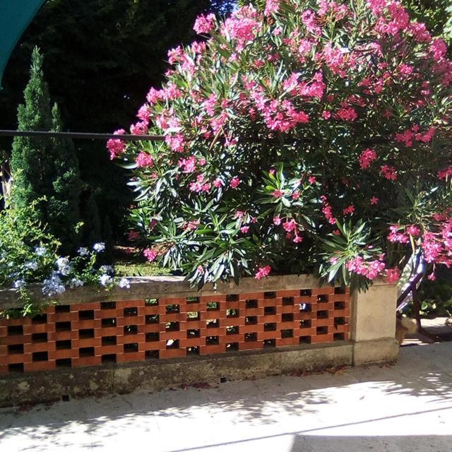 אפרטהוטל אביניון Le Petit Palais Maisonnette מראה חיצוני תמונה